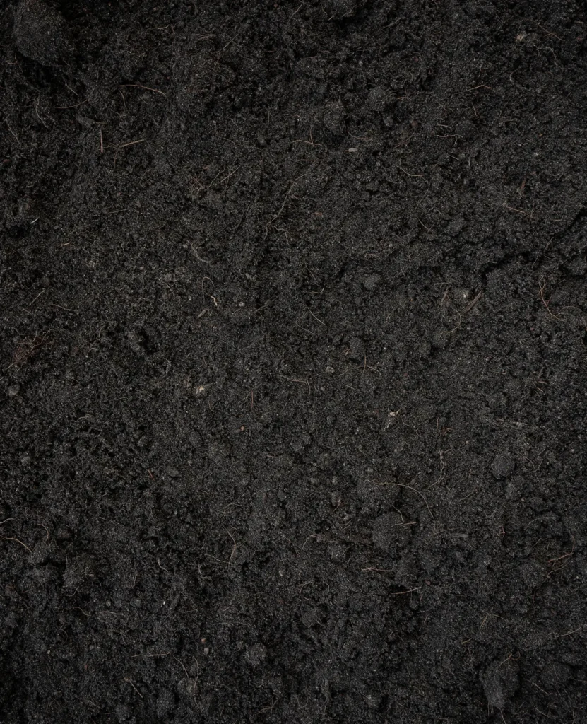 Close-up van zwarte grond