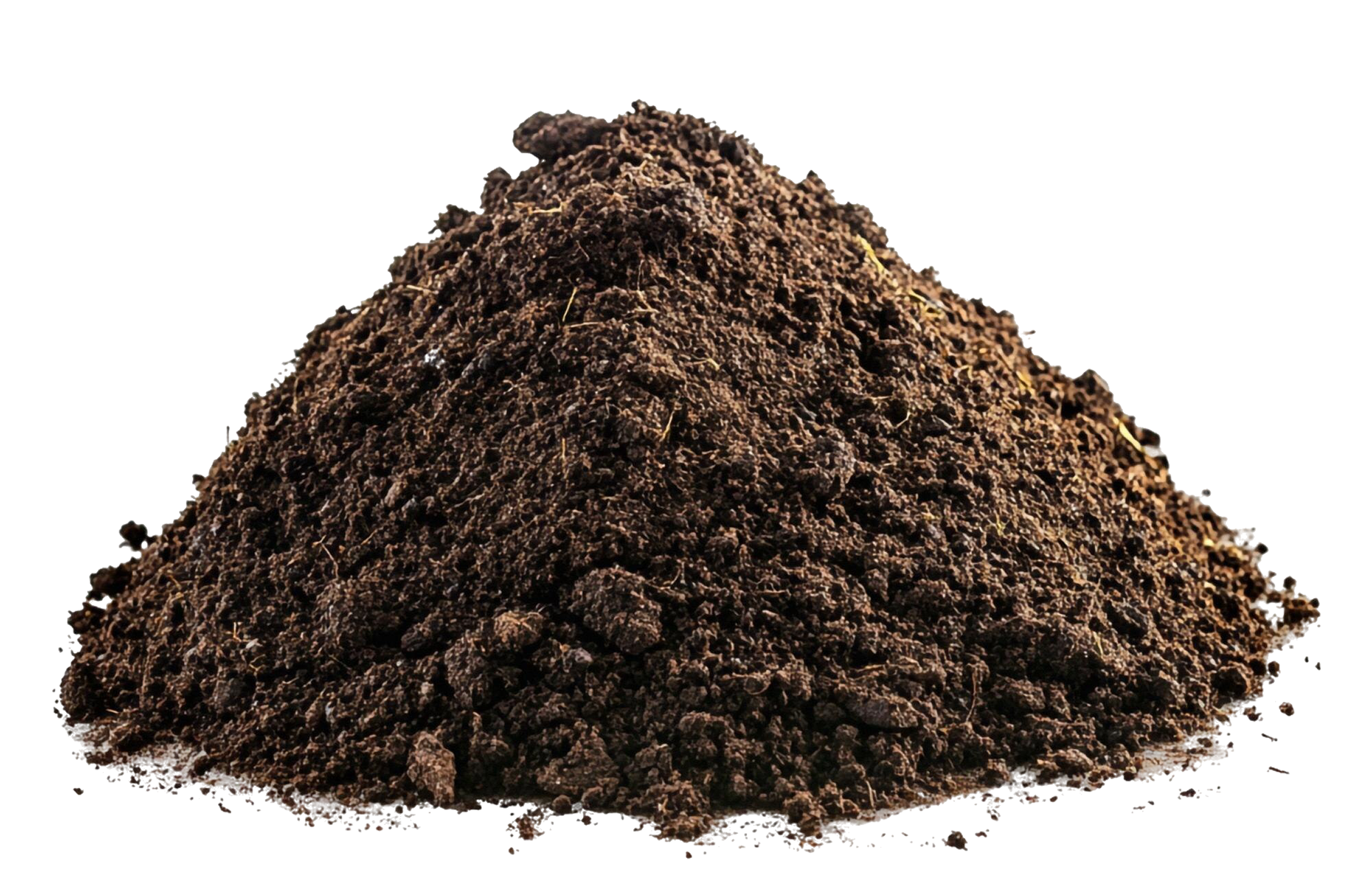 Zwarte Grond